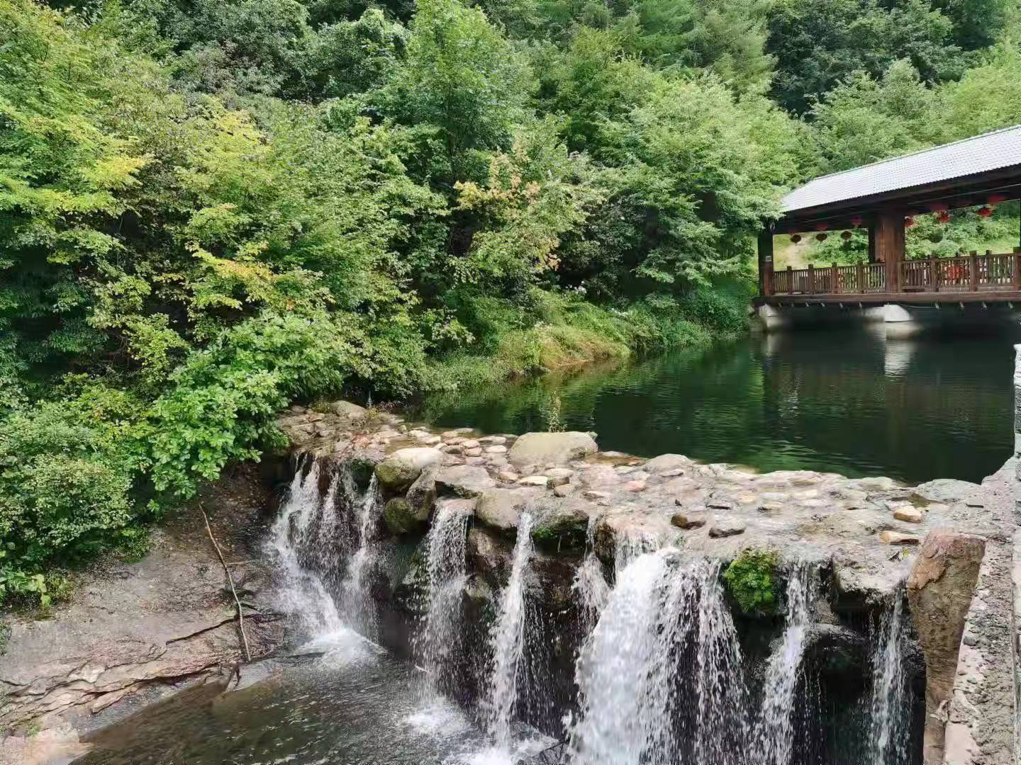 1631762428246479.jpg 1.jpg